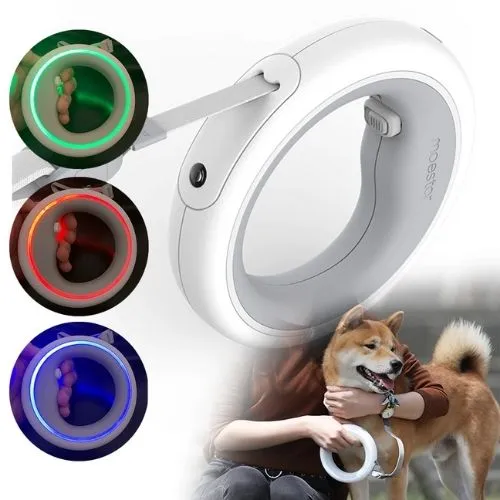 Dog Leash Ring Led