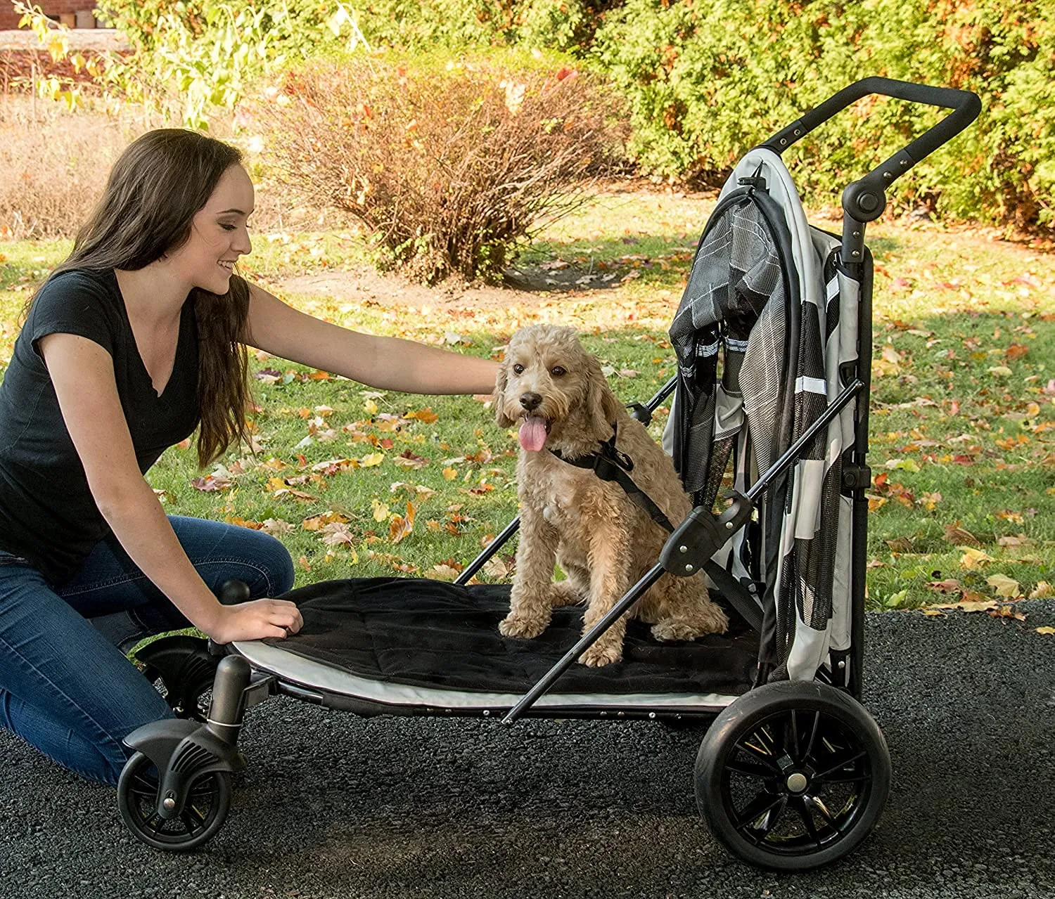 Doggie Stroller with Dual Entry Single or Multiple Dogs/Cats