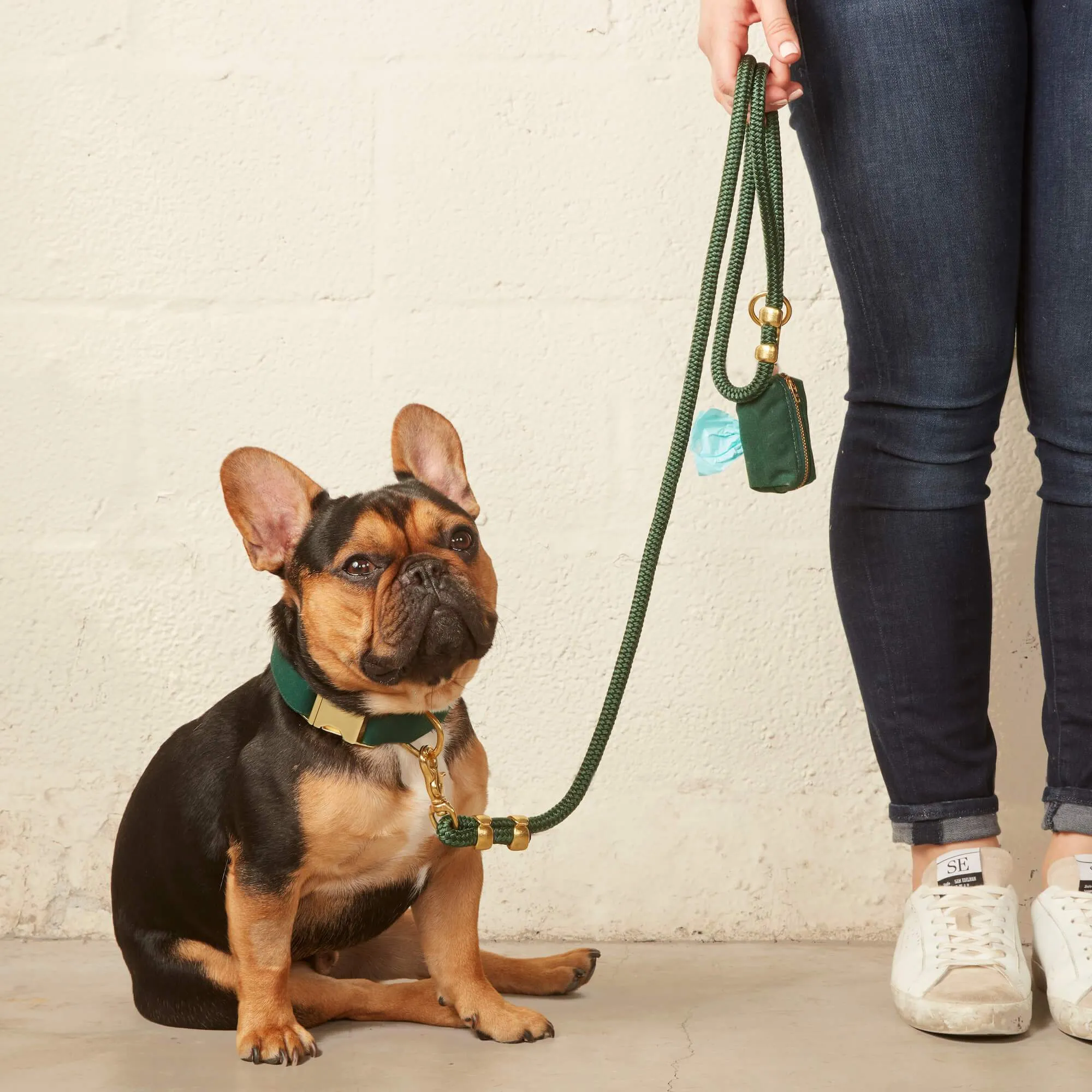 Evergreen Collar Walk Set