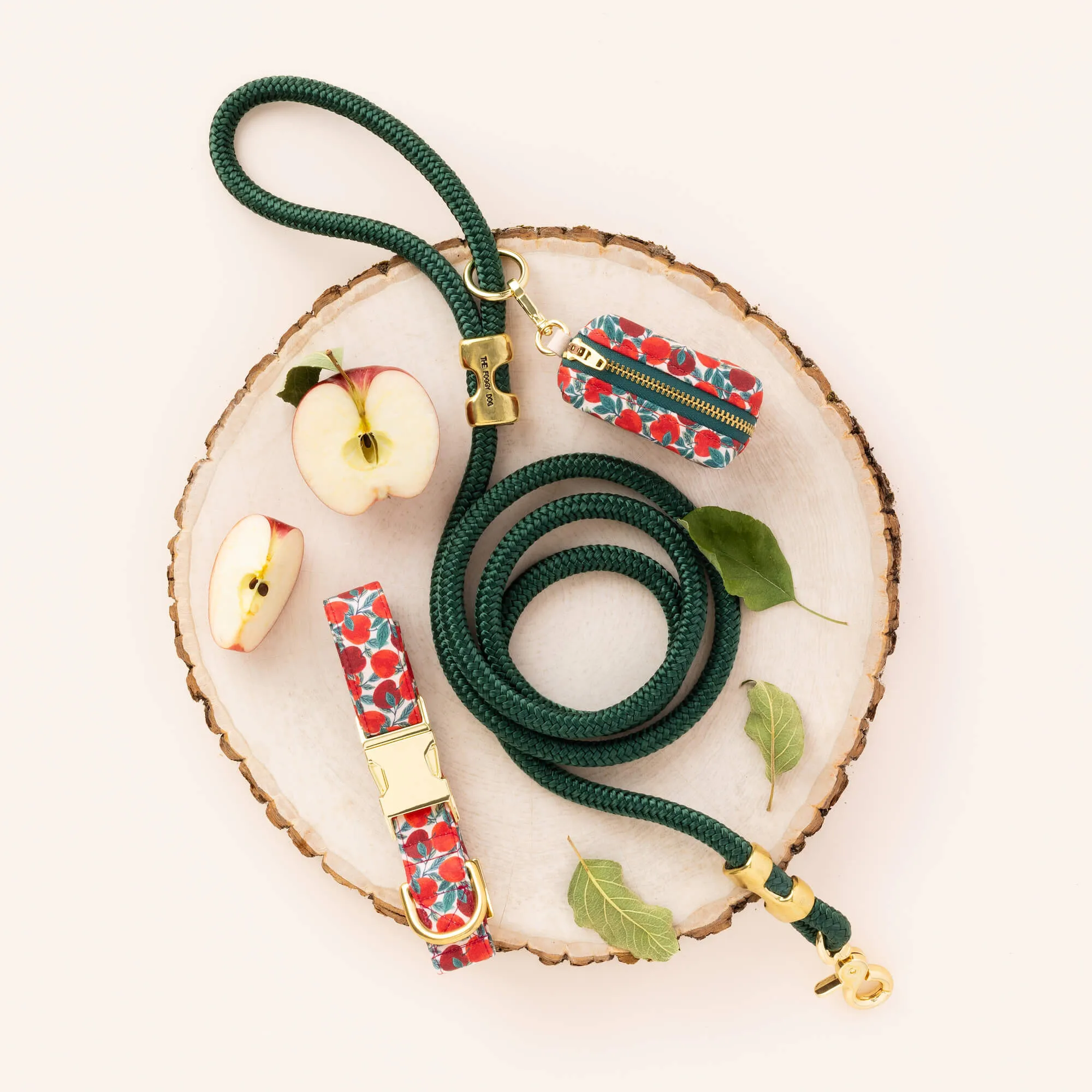 Evergreen Marine Rope Dog Leash