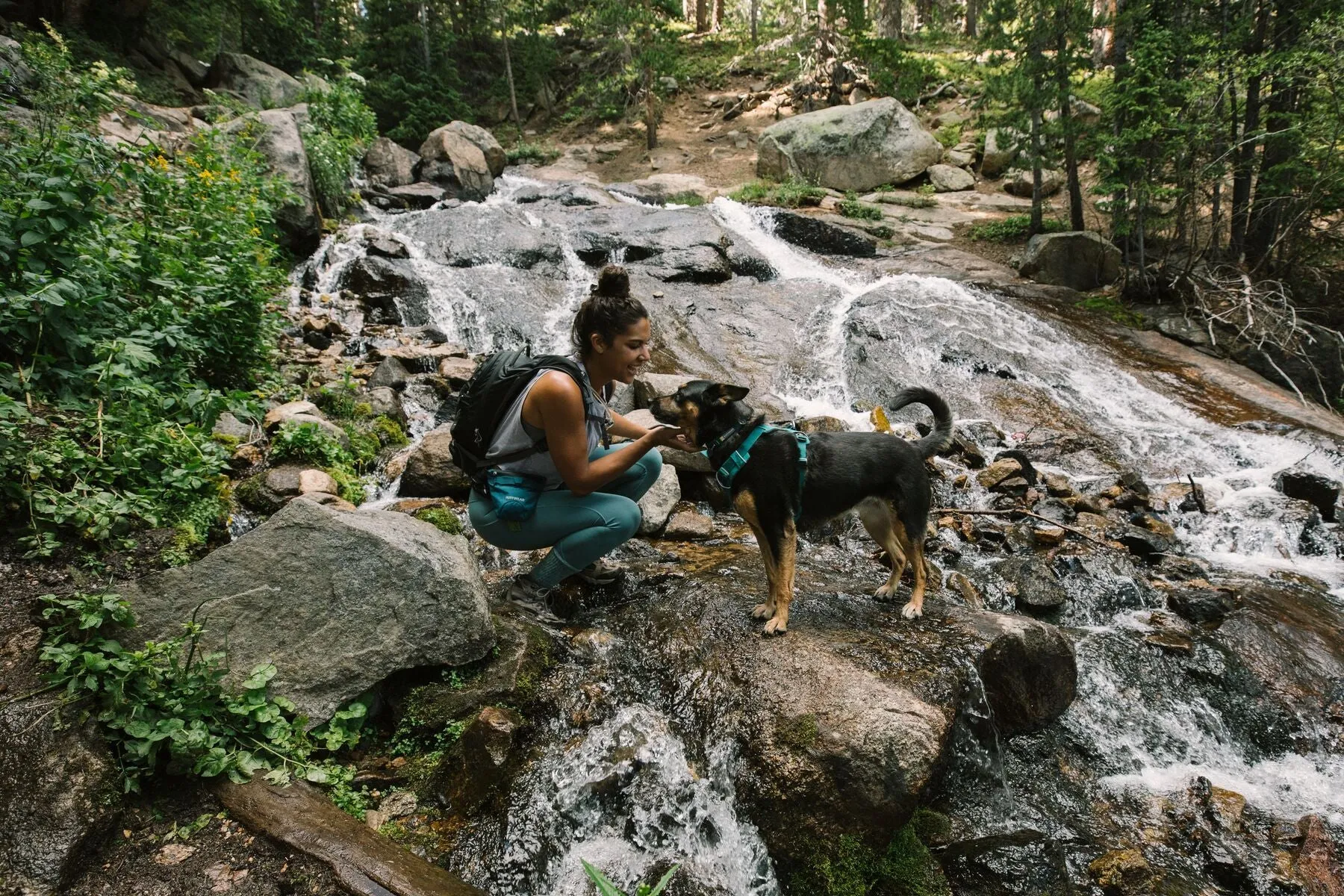 Front Range® Dog Harness