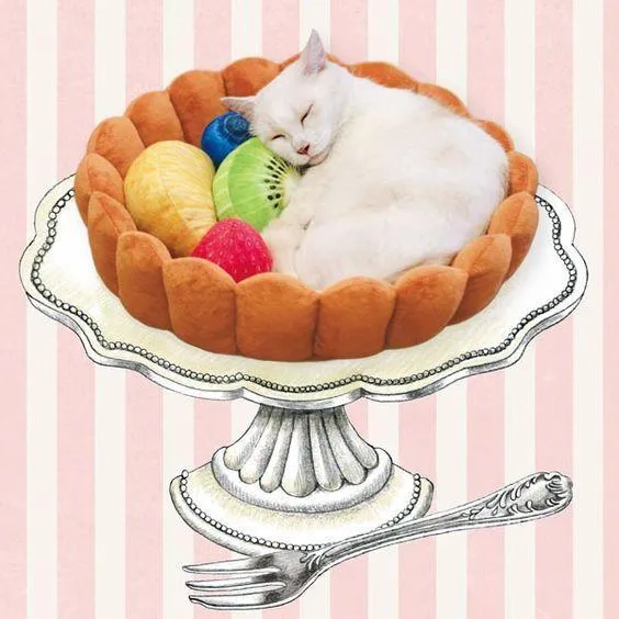 Fruity Tart Pet Bed