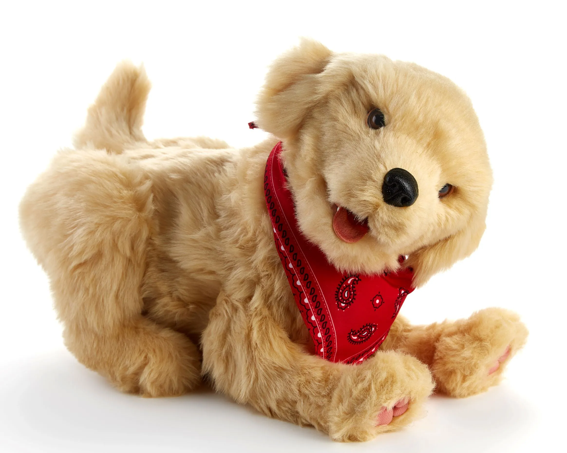 Golden pup robotic companion pet - vat free