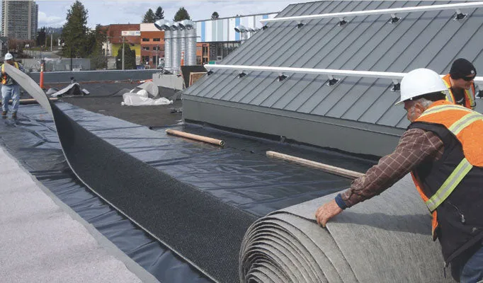 Green Roof Drainage Board