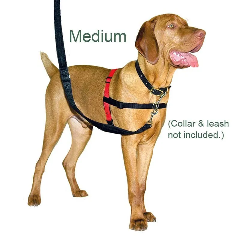 Halti Harness No Pull Harness, Multi functional and with Padding!