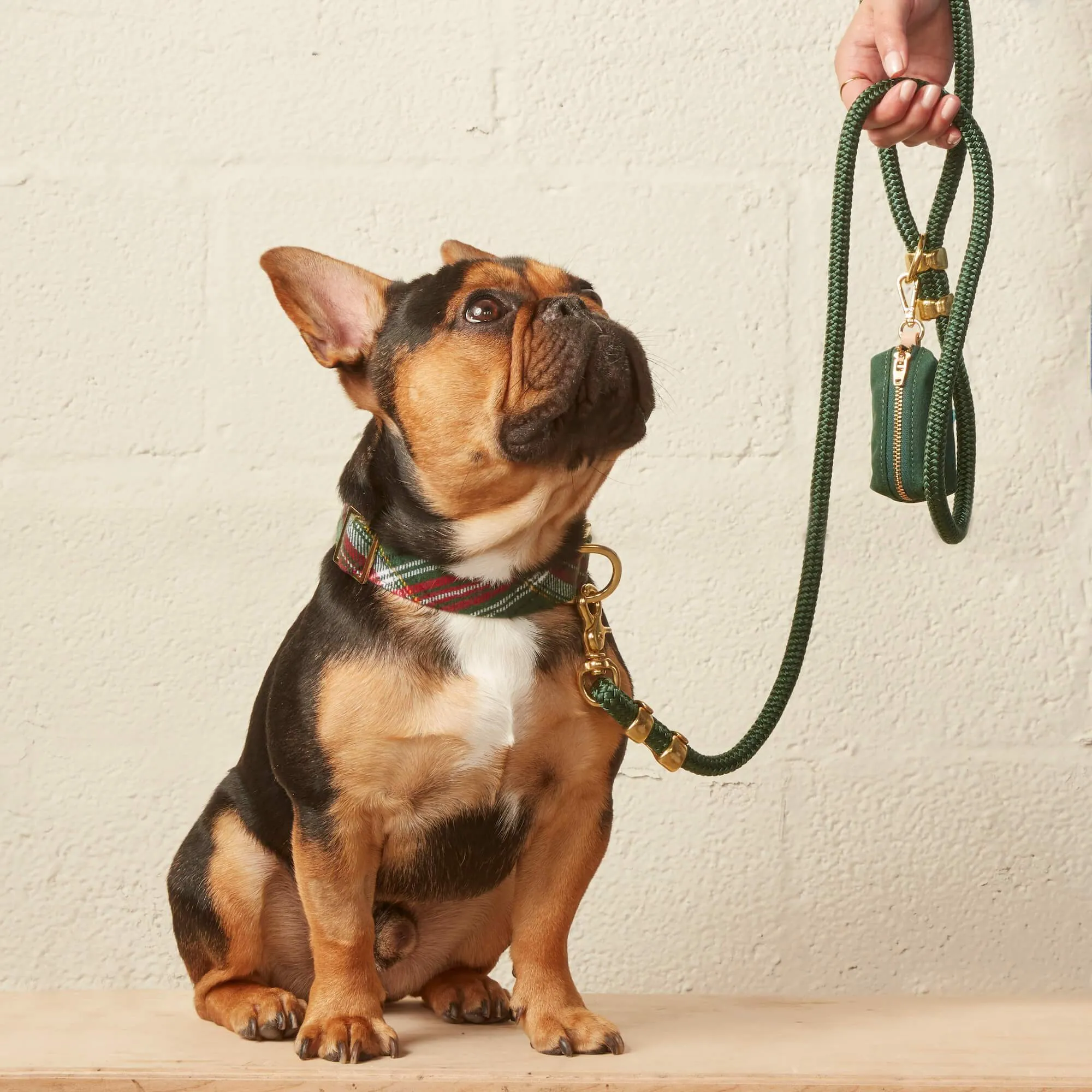 Holly Jolly Plaid Flannel Collar Walk Set