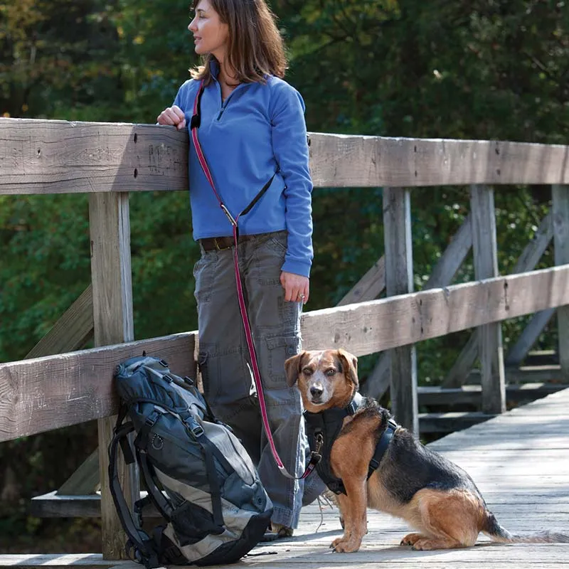 Kurgo Quantum Multi-Function Leash: Waist Leash & Lots More!