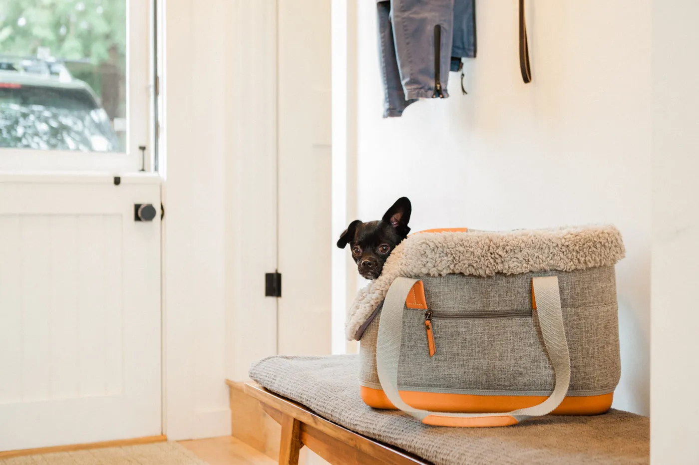 LeftPine x P.L.A.Y. Deluxe Dog Carrier