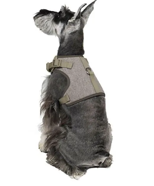 Martha Stewart Fashionable Tweed Dog Harness Grey Bowtie,XX-Small