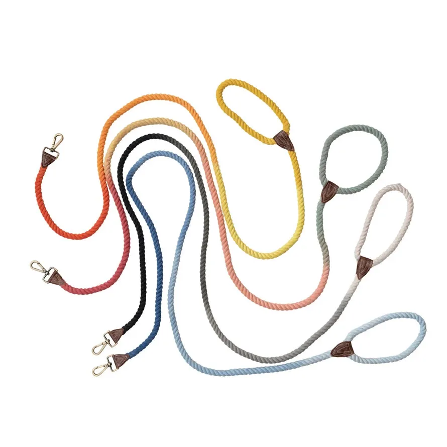 Ombre Rope & Leather Dog Leash