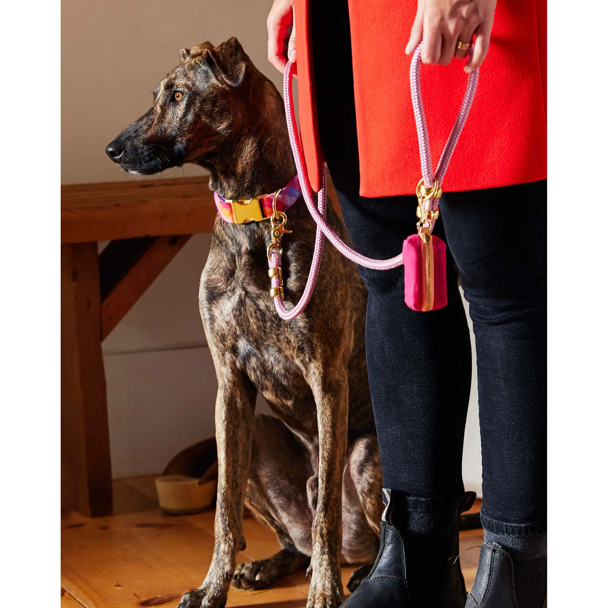 Orchid Marine Rope Dog Leash