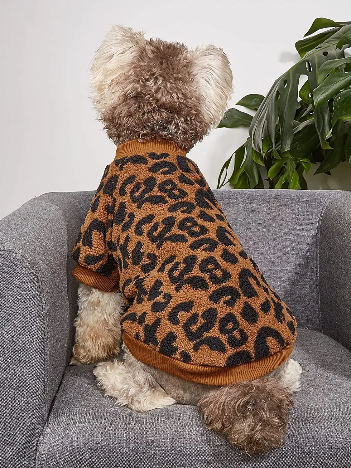 Presidential Collection -  Presidential Paws - Pet Outfits Leopard Print Plush Sweatshirt