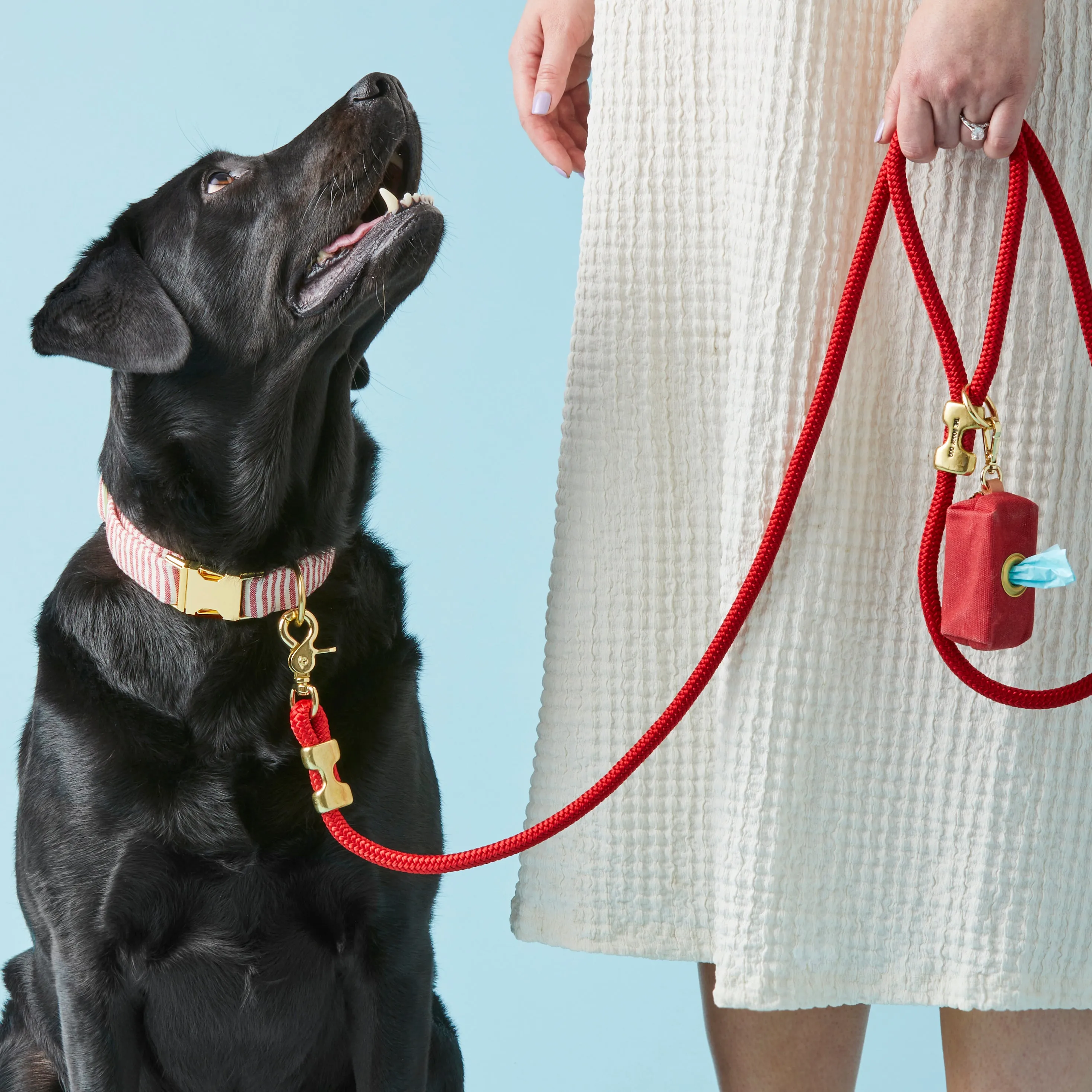 Ruby Marine Rope Dog Leash