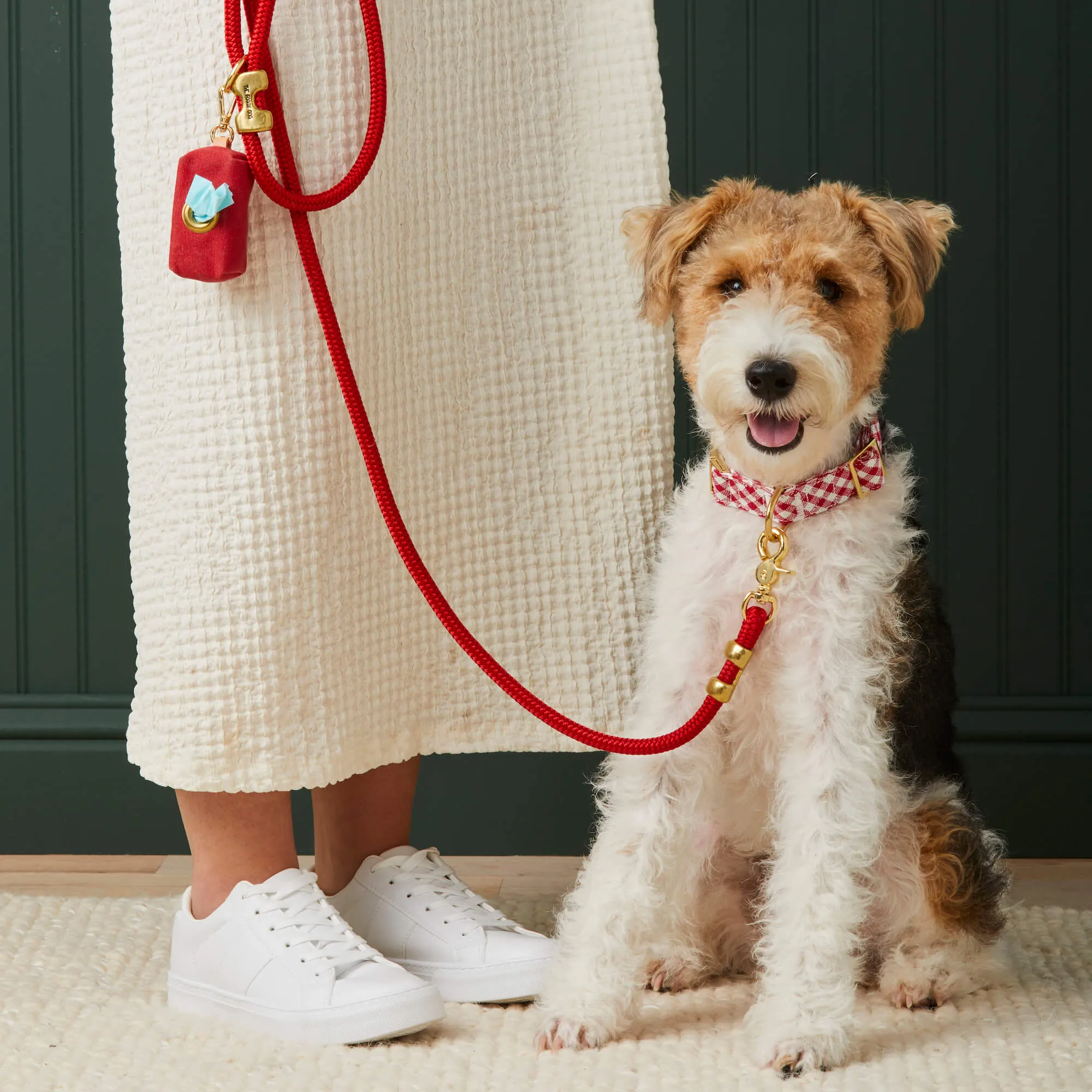 Ruby Marine Rope Dog Leash