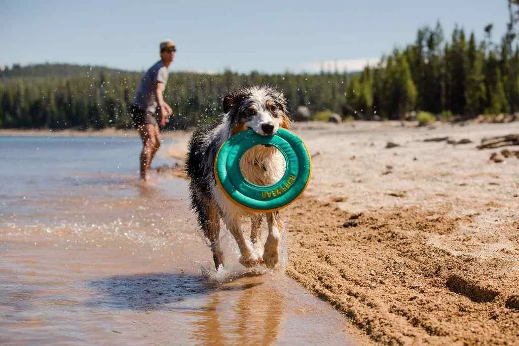 Ruffwear Hydro Plane, Floating Soft Foam Disc Dog Toy