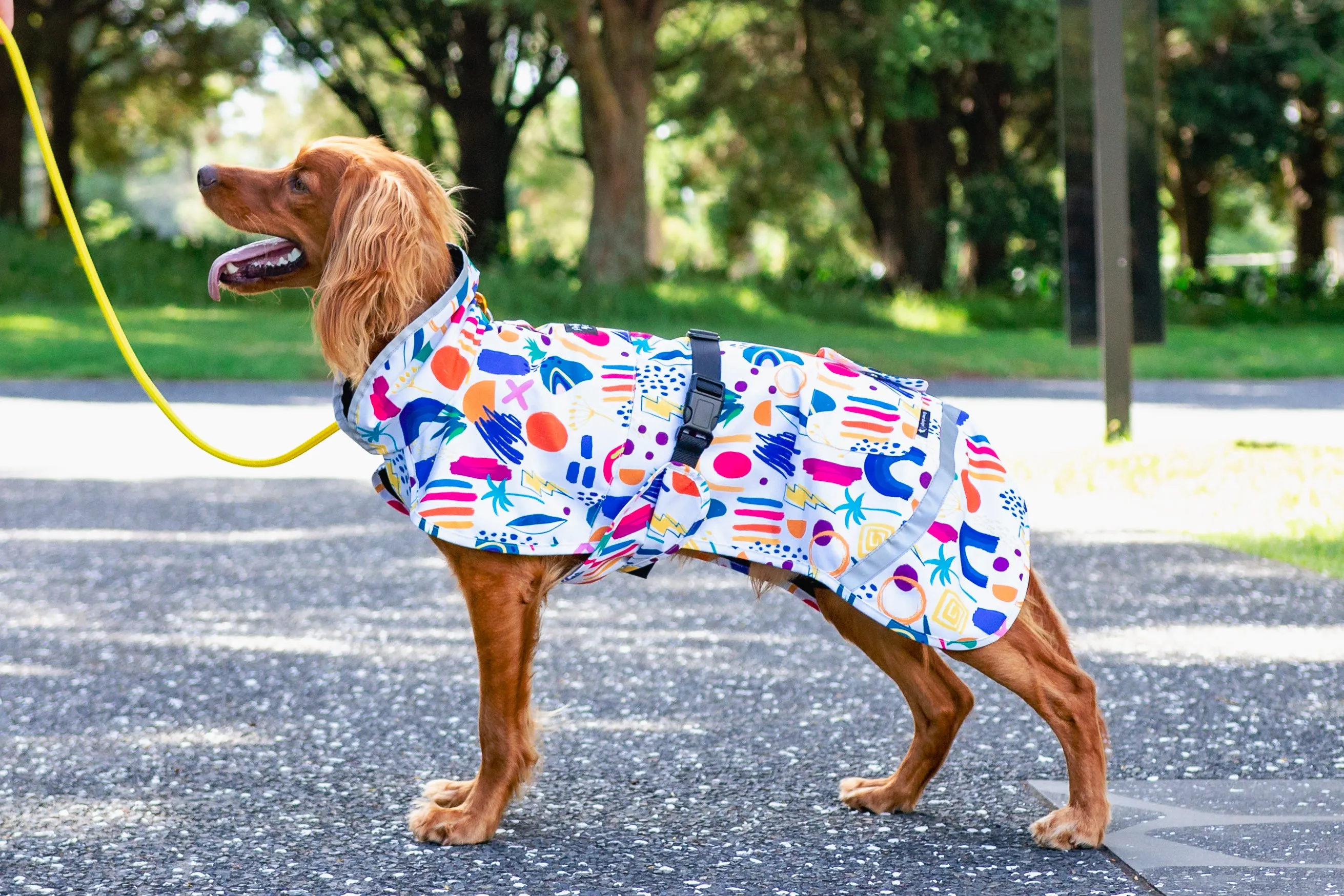 Scribbler Pets Abstract waterproof raincoat for dogs