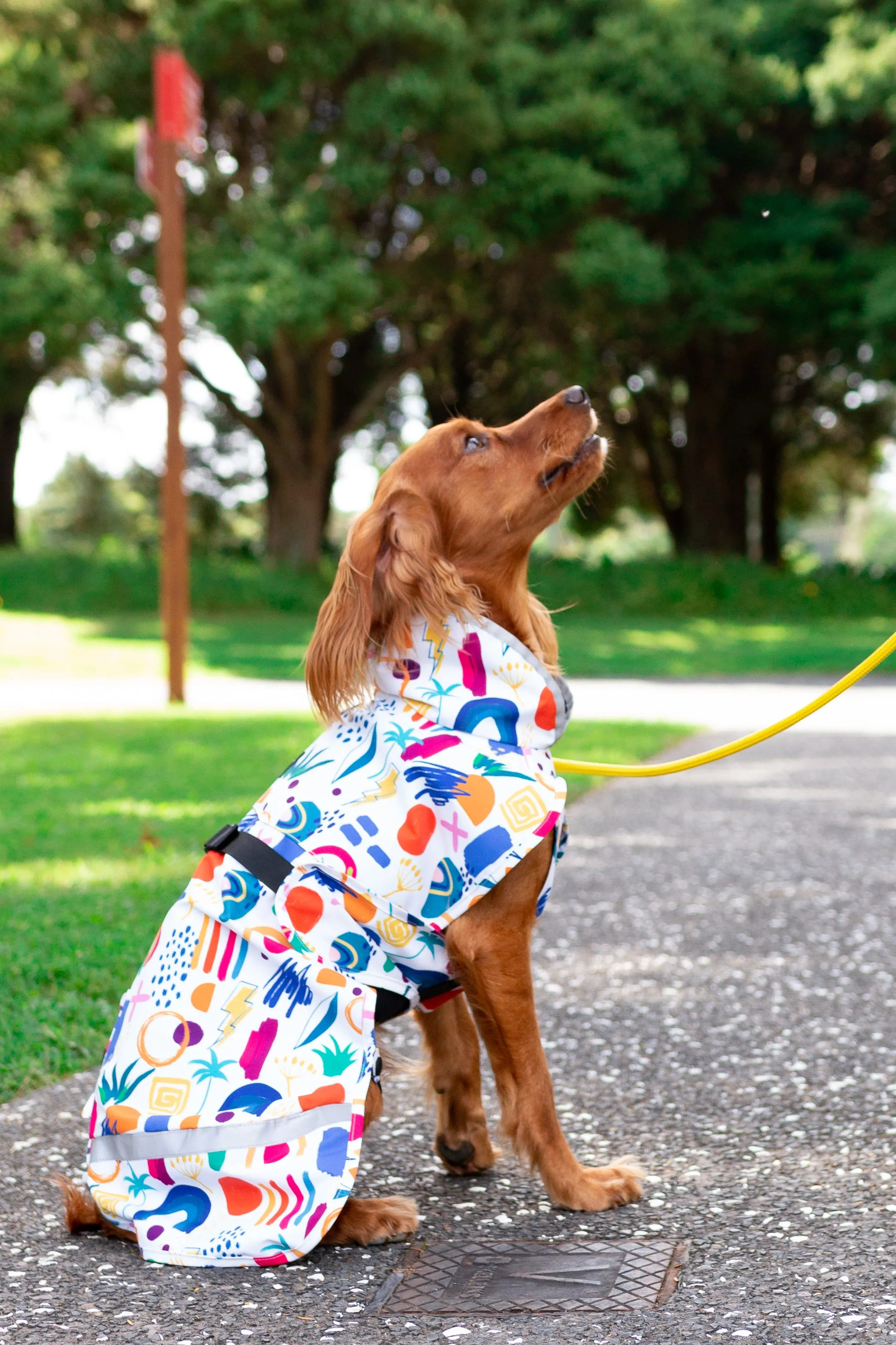 Scribbler Pets Abstract waterproof raincoat for dogs