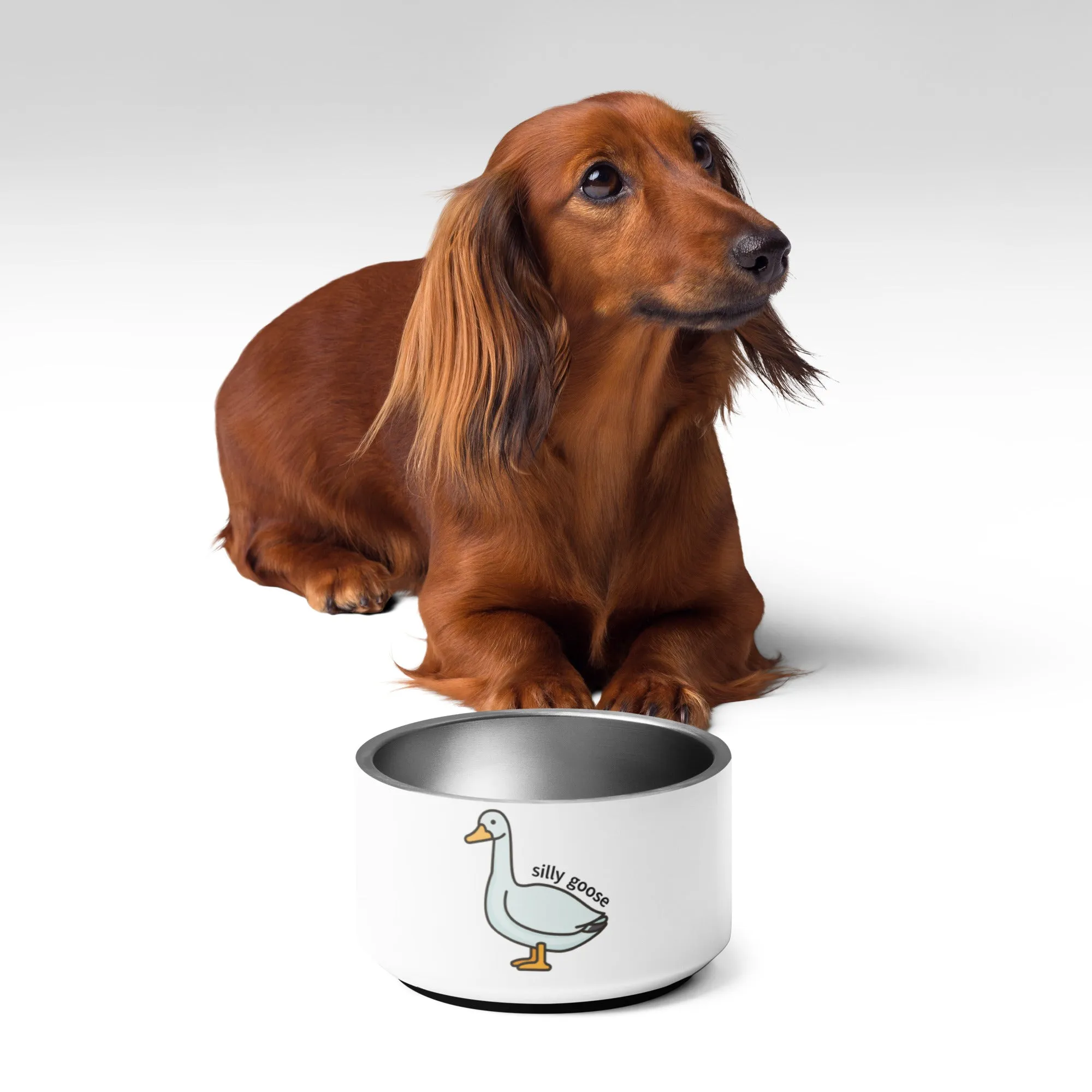 Silly Goose Pet bowl