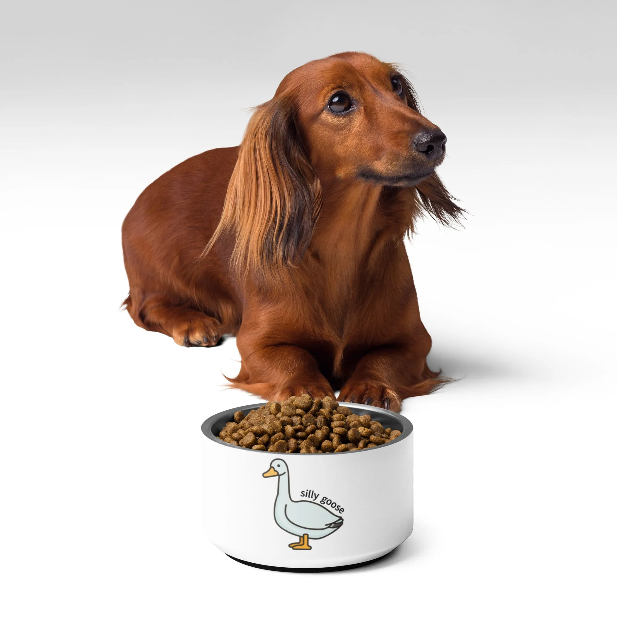 Silly Goose Pet bowl