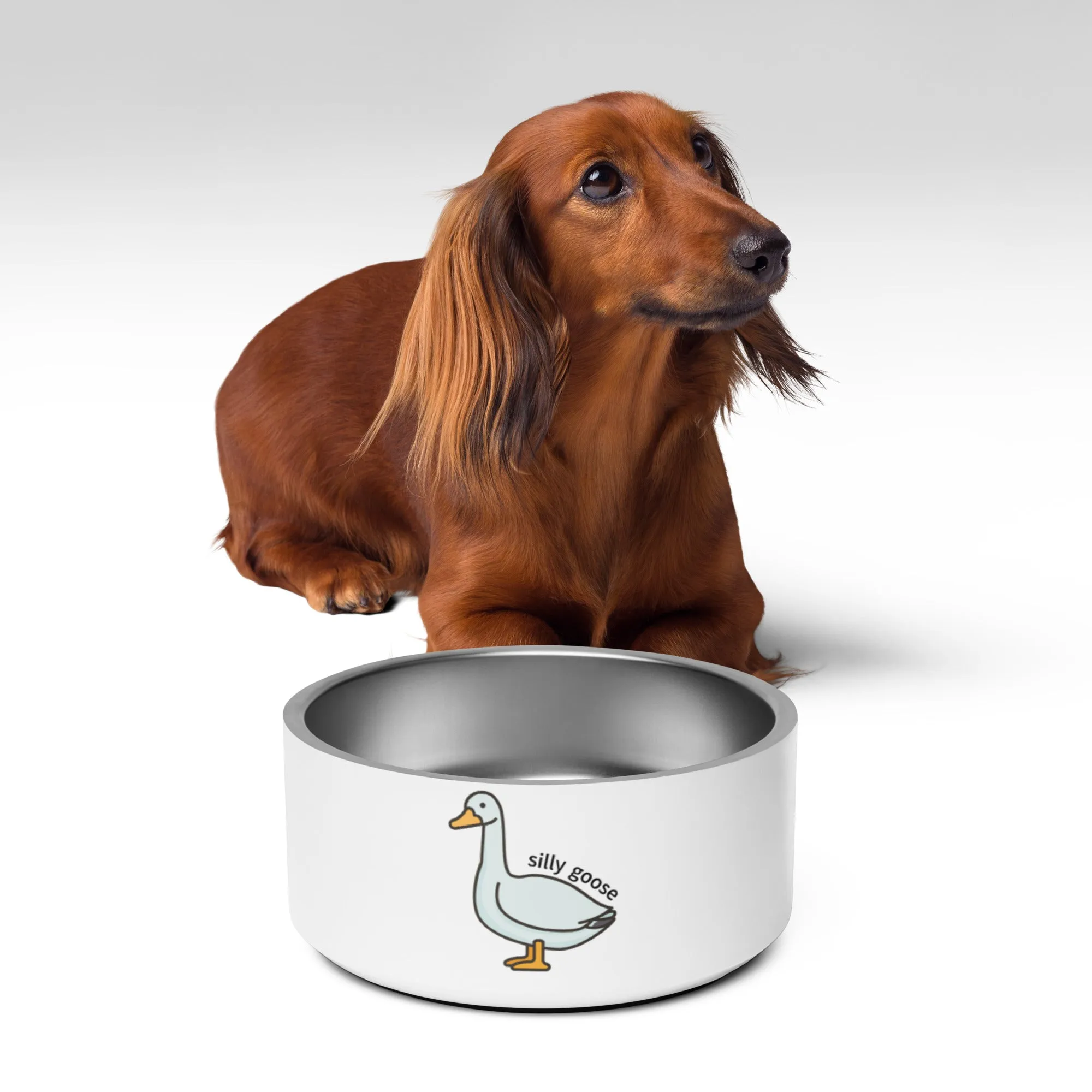 Silly Goose Pet bowl