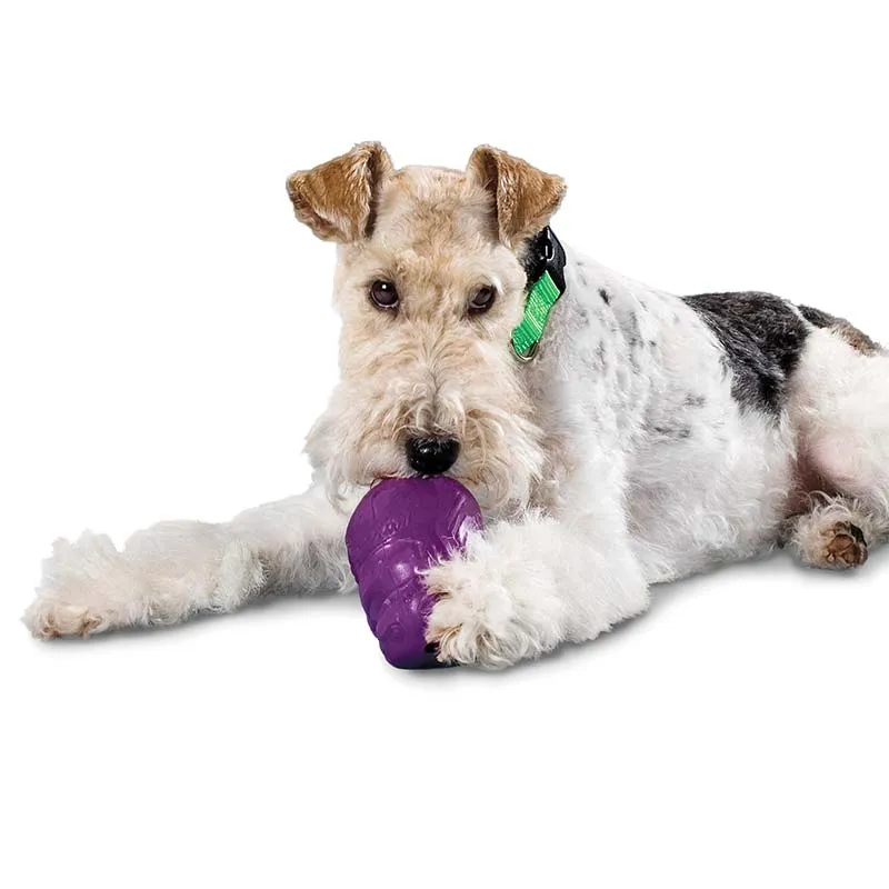 Squirrel Dude Treat Dispensing Toy for Dogs