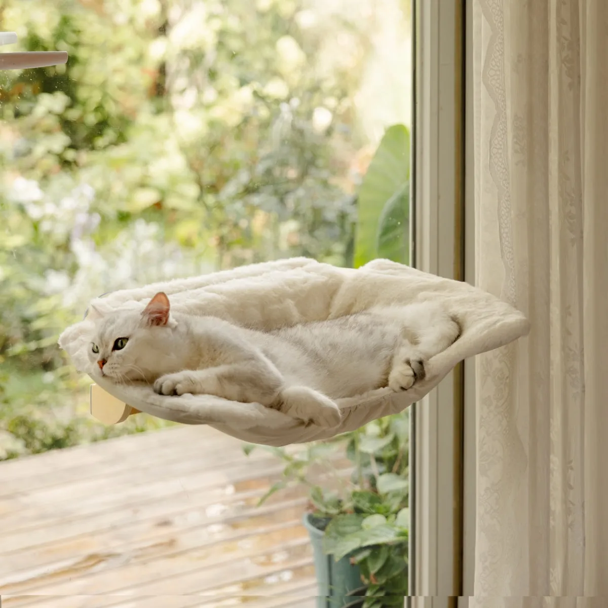 Steinway Cat Window Bed