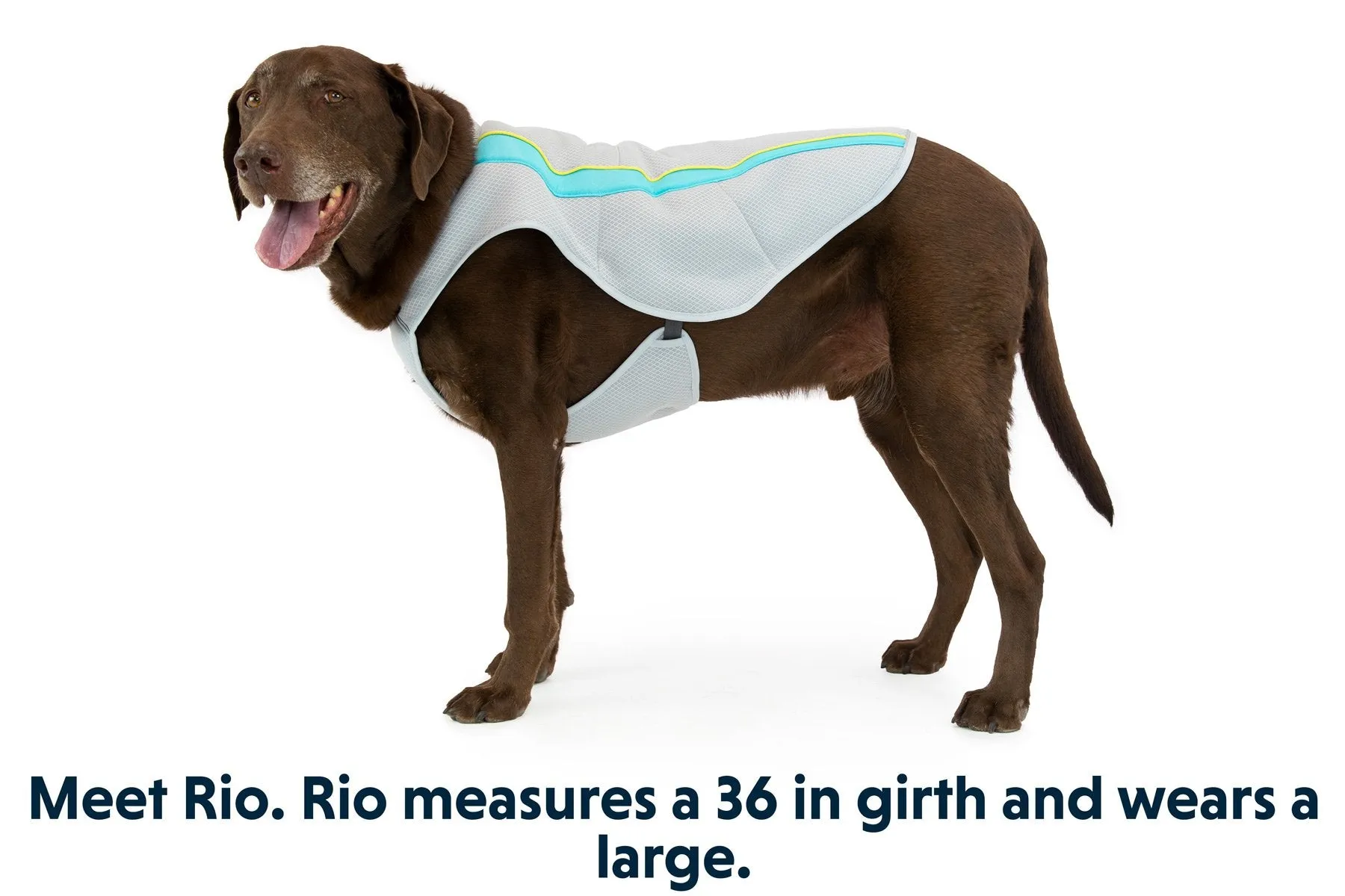 Swamp Cooler™ Dog Cooling Vest