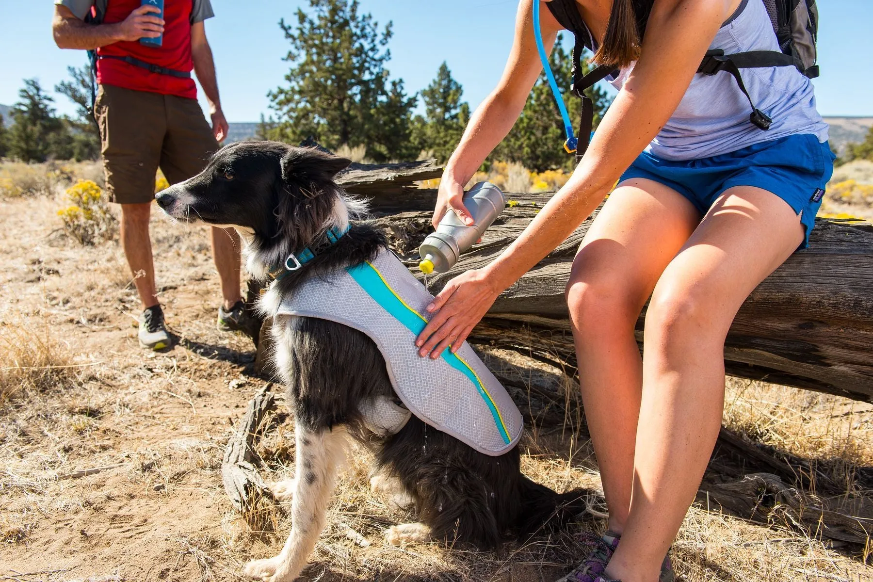 Swamp Cooler™ Dog Cooling Vest