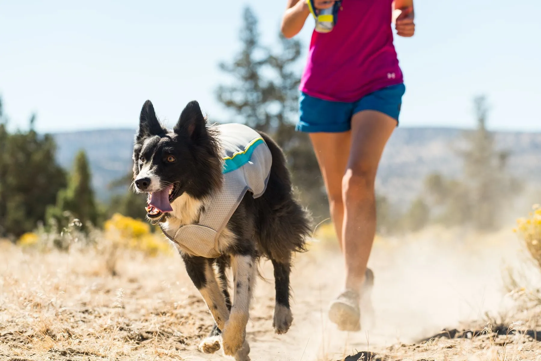 Swamp Cooler™ Dog Cooling Vest