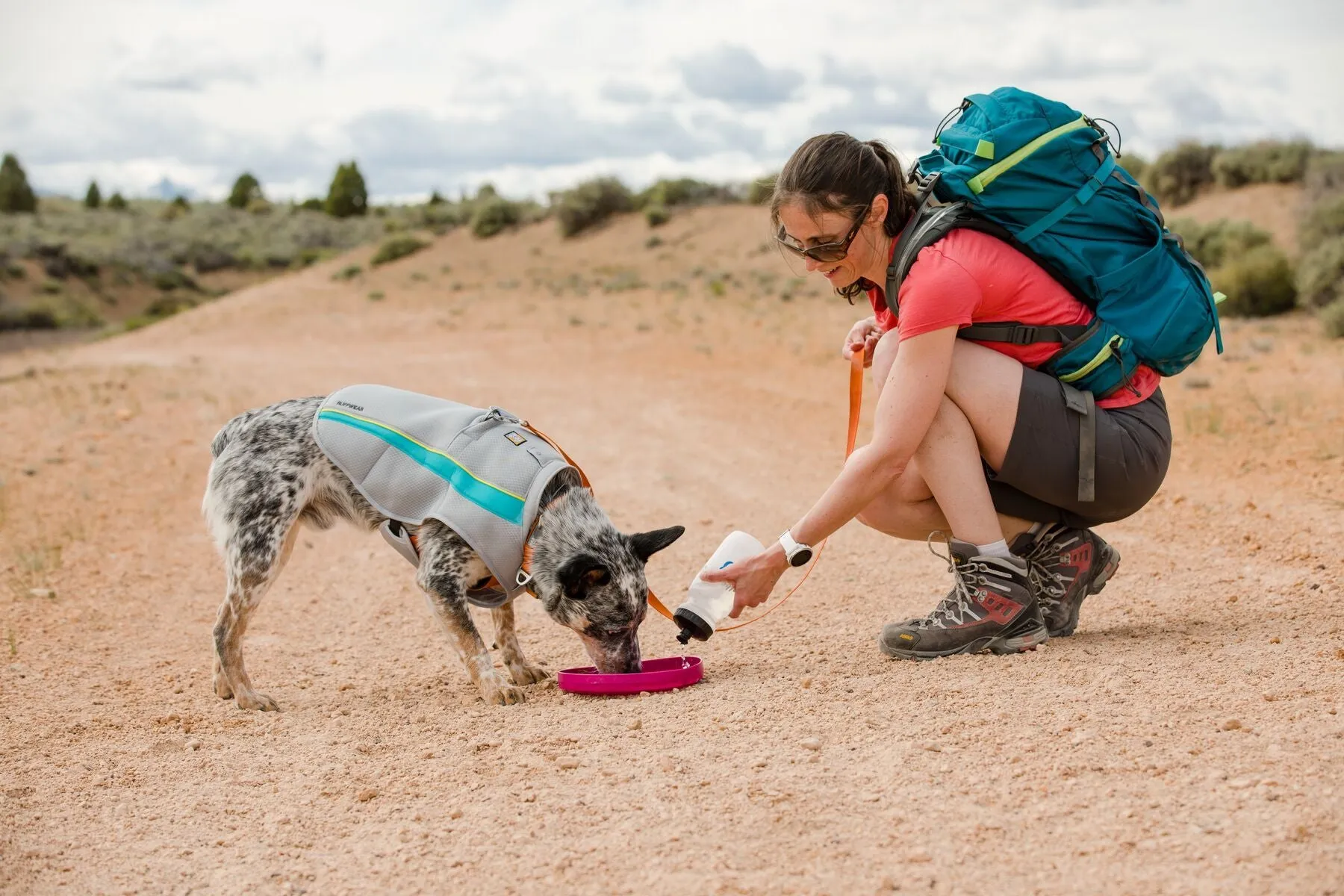 Swamp Cooler™ Dog Cooling Vest