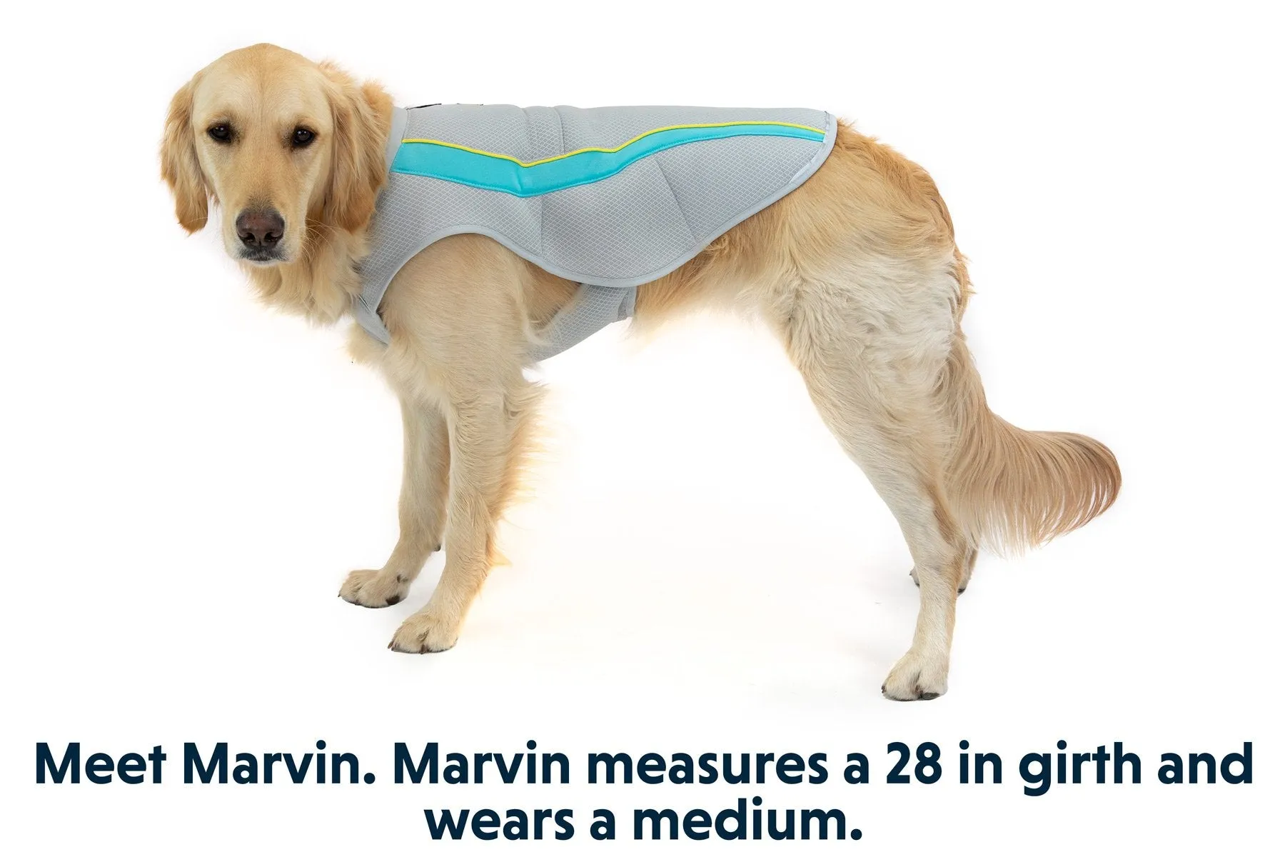 Swamp Cooler™ Dog Cooling Vest