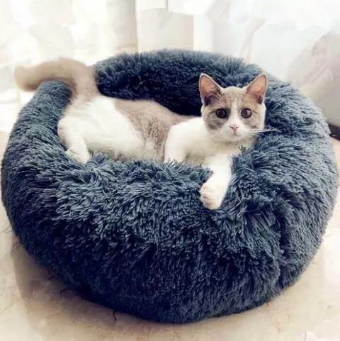 Sweet Dreams Luxury Cat Bed