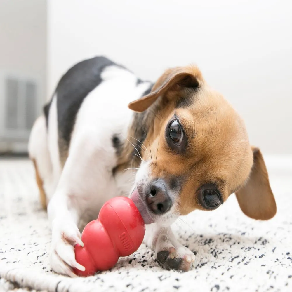 ULTIMATE Kong Bundle - Kong Dog Toy Classic Bundled with Kong Easy Treat (Peanut Butter Flavor)